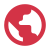 Globe Icon